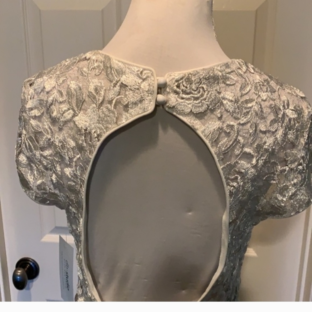Elegant Lace Gown in Ivory - Picture 6 of 11